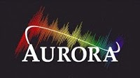 Aurora   Wedding and Function Band 1065178 Image 3